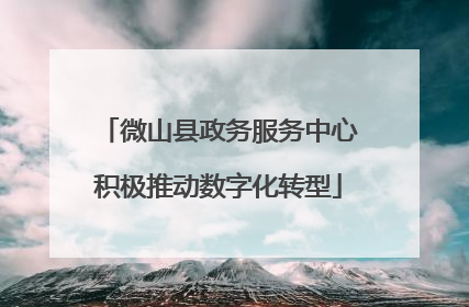 微山县政务服务中心积极推动数字化转型