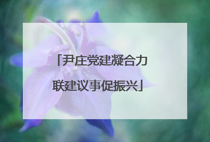 尹庄党建凝合力 联建议事促振兴