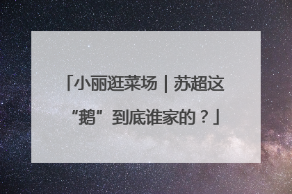 小丽逛菜场｜苏超这“鹅”到底谁家的？