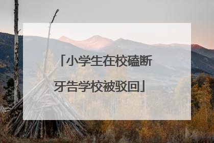 小学生在校磕断牙告学校被驳回