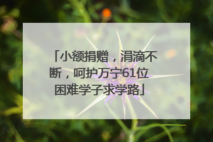 小额捐赠，涓滴不断，呵护万宁61位困难学子求学路
