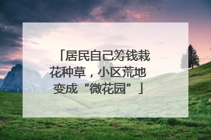 居民自己筹钱栽花种草，小区荒地变成“微花园”