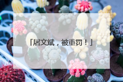 屠文斌，被重罚！