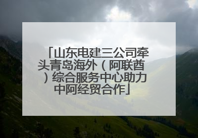 山东电建三公司牵头青岛海外（阿联酋）综合服务中心助力中阿经贸合作