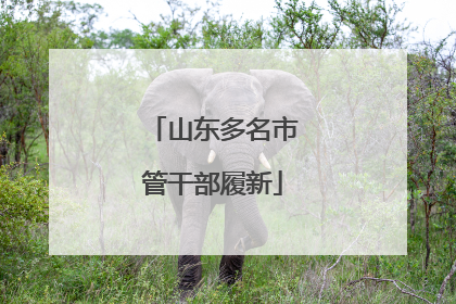 山东多名市管干部履新