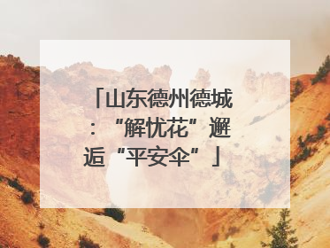 山东德州德城：“解忧花”邂逅“平安伞”