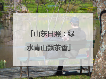 山东日照：绿水青山飘茶香