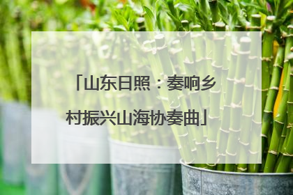 山东日照：奏响乡村振兴山海协奏曲