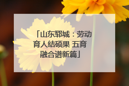 山东郓城：劳动育人结硕果 五育融合谱新篇