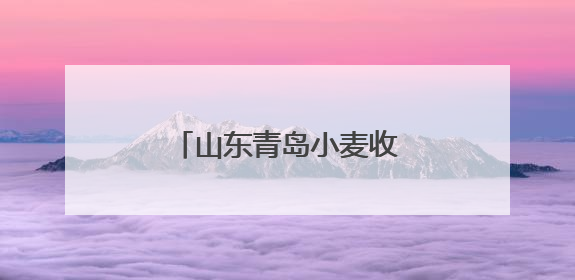 山东青岛小麦收获作业全面展开