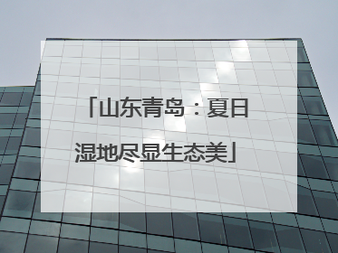 山东青岛：夏日湿地尽显生态美