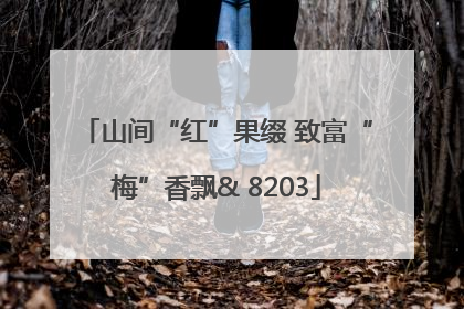 山间“红”果缀 致富“梅”香飘& 8203