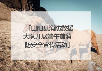 山阳县消防救援大队开展端午前消防安全宣传活动