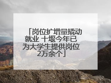 岗位扩增量撬动就业 十堰今年已为大学生提供岗位2万余个