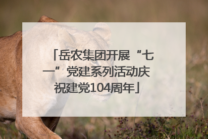 岳农集团开展“七一”党建系列活动庆祝建党104周年