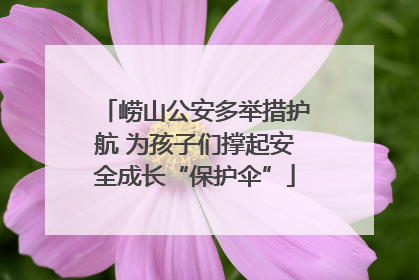 崂山公安多举措护航 为孩子们撑起安全成长“保护伞”