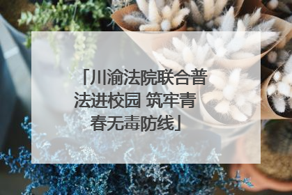 川渝法院联合普法进校园 筑牢青春无毒防线