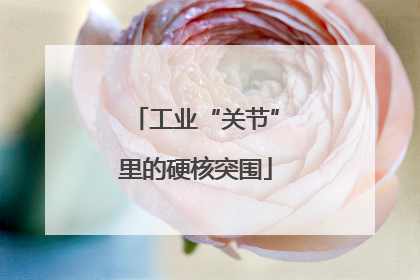 工业“关节”里的硬核突围