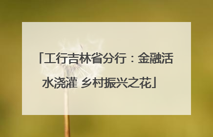 工行吉林省分行：金融活水浇灌 乡村振兴之花