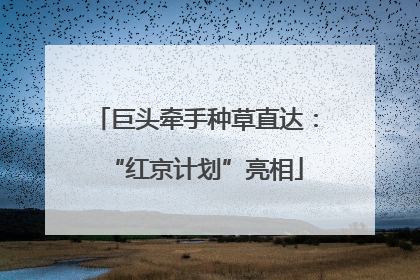 巨头牵手种草直达：“红京计划”亮相