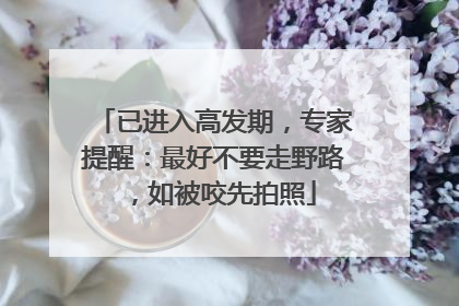已进入高发期，专家提醒：最好不要走野路，如被咬先拍照