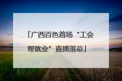 广西百色首场“工会帮就业”直播落幕