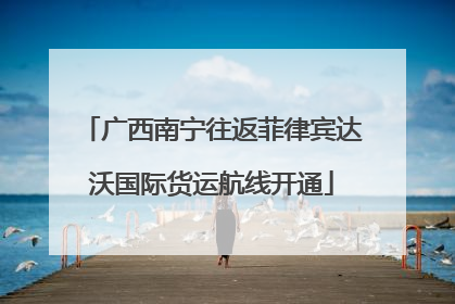 广西南宁往返菲律宾达沃国际货运航线开通