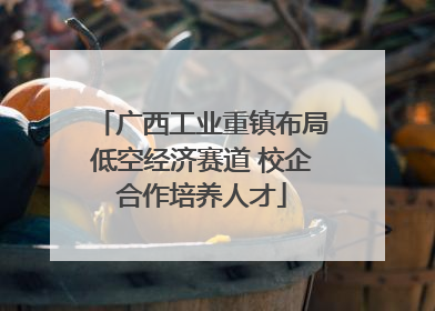广西工业重镇布局低空经济赛道 校企合作培养人才