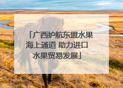 广西护航东盟水果海上通道 助力进口水果贸易发展