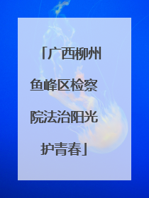 广西柳州鱼峰区检察院法治阳光护青春