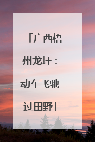 广西梧州龙圩：动车飞驰过田野