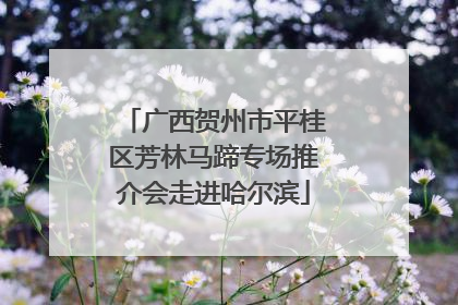 广西贺州市平桂区芳林马蹄专场推介会走进哈尔滨