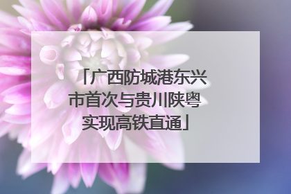 广西防城港东兴市首次与贵川陕粤实现高铁直通