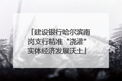 建设银行哈尔滨南岗支行精准“浇灌”实体经济发展沃土
