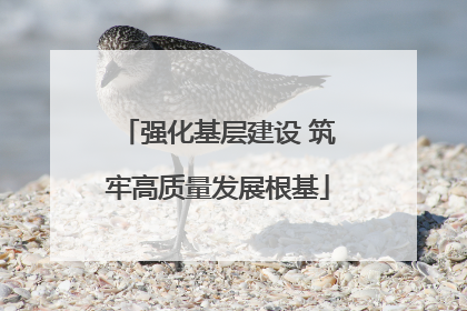 强化基层建设 筑牢高质量发展根基