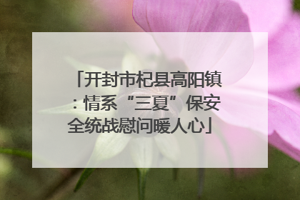 开封市杞县高阳镇：情系“三夏”保安全统战慰问暖人心