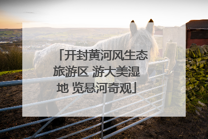 开封黄河风生态旅游区 游大美湿地 览悬河奇观
