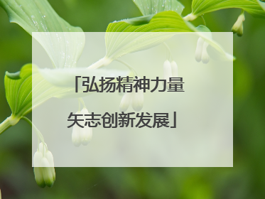 弘扬精神力量 矢志创新发展