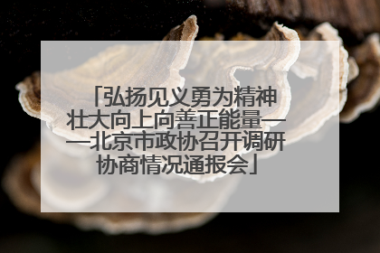 弘扬见义勇为精神 壮大向上向善正能量——北京市政协召开调研协商情况通报会