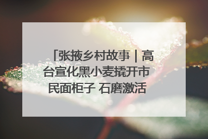 张掖乡村故事｜高台宣化黑小麦撬开市民面柜子 石磨激活村集体钱匣子