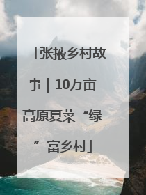 张掖乡村故事｜10万亩高原夏菜“绿”富乡村