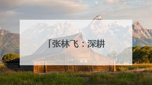 张林飞：深耕实体经济的多元产业开拓者