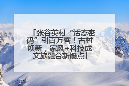 张谷英村“活态密码”引百万客！古村焕新，家风+科技成文旅融合新爆点
