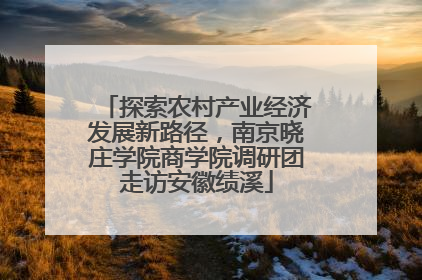 探索农村产业经济发展新路径，南京晓庄学院商学院调研团走访安徽绩溪