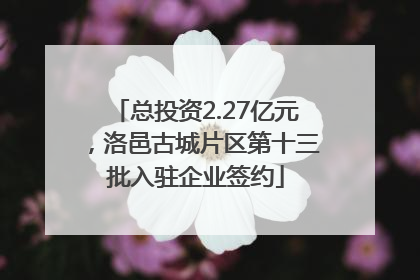 总投资2.27亿元，洛邑古城片区第十三批入驻企业签约