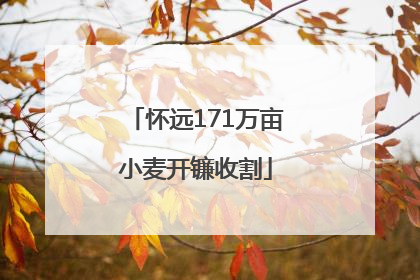 怀远171万亩小麦开镰收割
