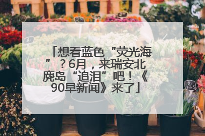 想看蓝色“荧光海”？6月，来瑞安北麂岛“追泪”吧！《90早新闻》来了