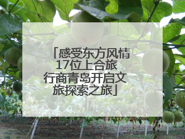 感受东方风情 17位上合旅行商青岛开启文旅探索之旅