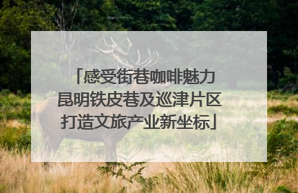 感受街巷咖啡魅力 昆明铁皮巷及巡津片区打造文旅产业新坐标