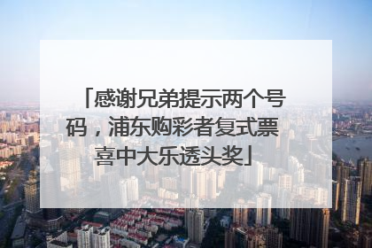 感谢兄弟提示两个号码，浦东购彩者复式票喜中大乐透头奖